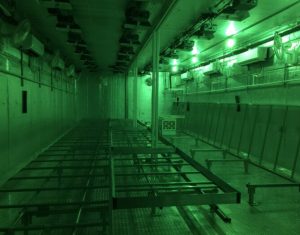 grow room, indoor farming, indoor cultivation