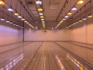 grow room, indoor farming, indoor cultivation